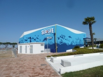 P1050710