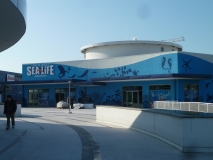 P1050705