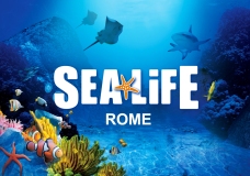 SEA-LIFE-ROME