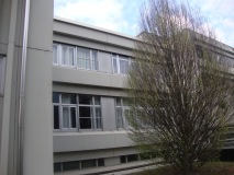 DSC02386