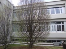 DSC02387